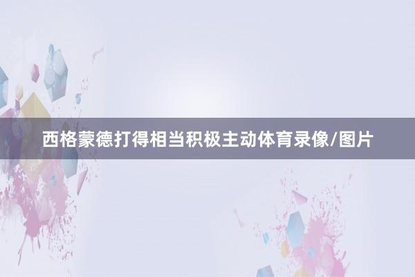 西格蒙德打得相当积极主动体育录像/图片
