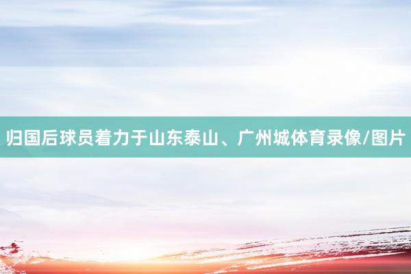 归国后球员着力于山东泰山、广州城体育录像/图片