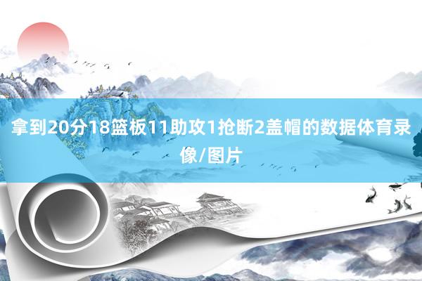 拿到20分18篮板11助攻1抢断2盖帽的数据体育录像/图片