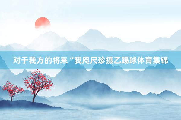 对于我方的将来“我咫尺珍摄乙踢球体育集锦