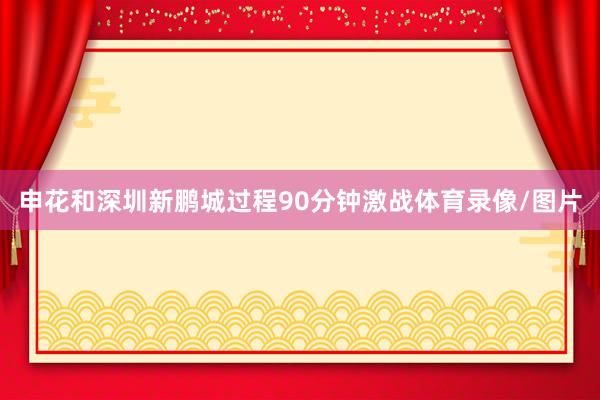 申花和深圳新鹏城过程90分钟激战体育录像/图片