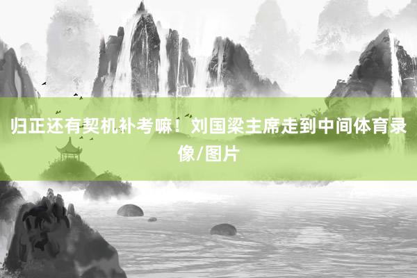归正还有契机补考嘛！刘国梁主席走到中间体育录像/图片