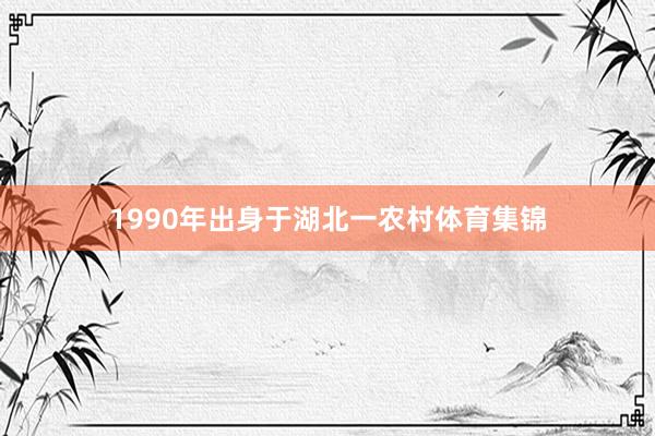 1990年出身于湖北一农村体育集锦