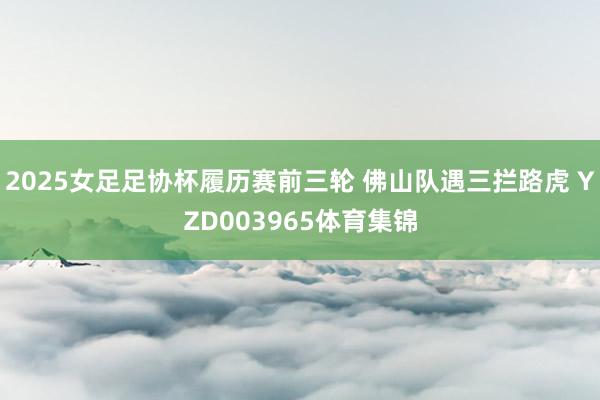 2025女足足协杯履历赛前三轮 佛山队遇三拦路虎 YZD003965体育集锦