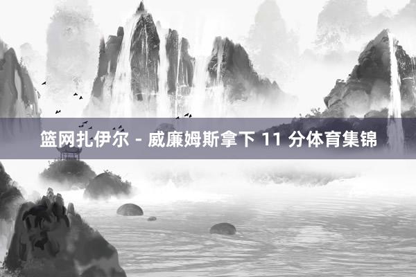 篮网扎伊尔 - 威廉姆斯拿下 11 分体育集锦